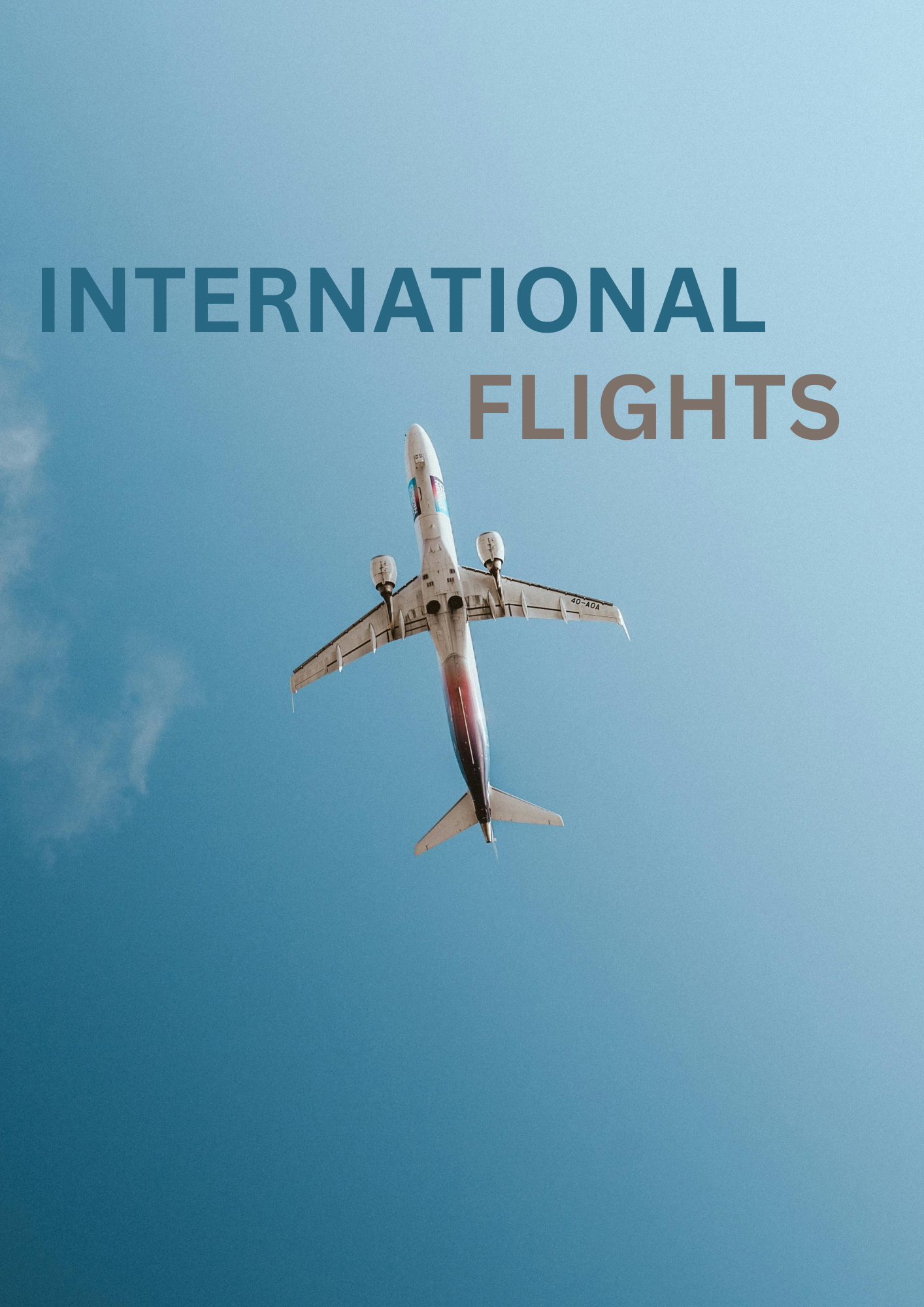 INTERNATIONAL AIR TICKET