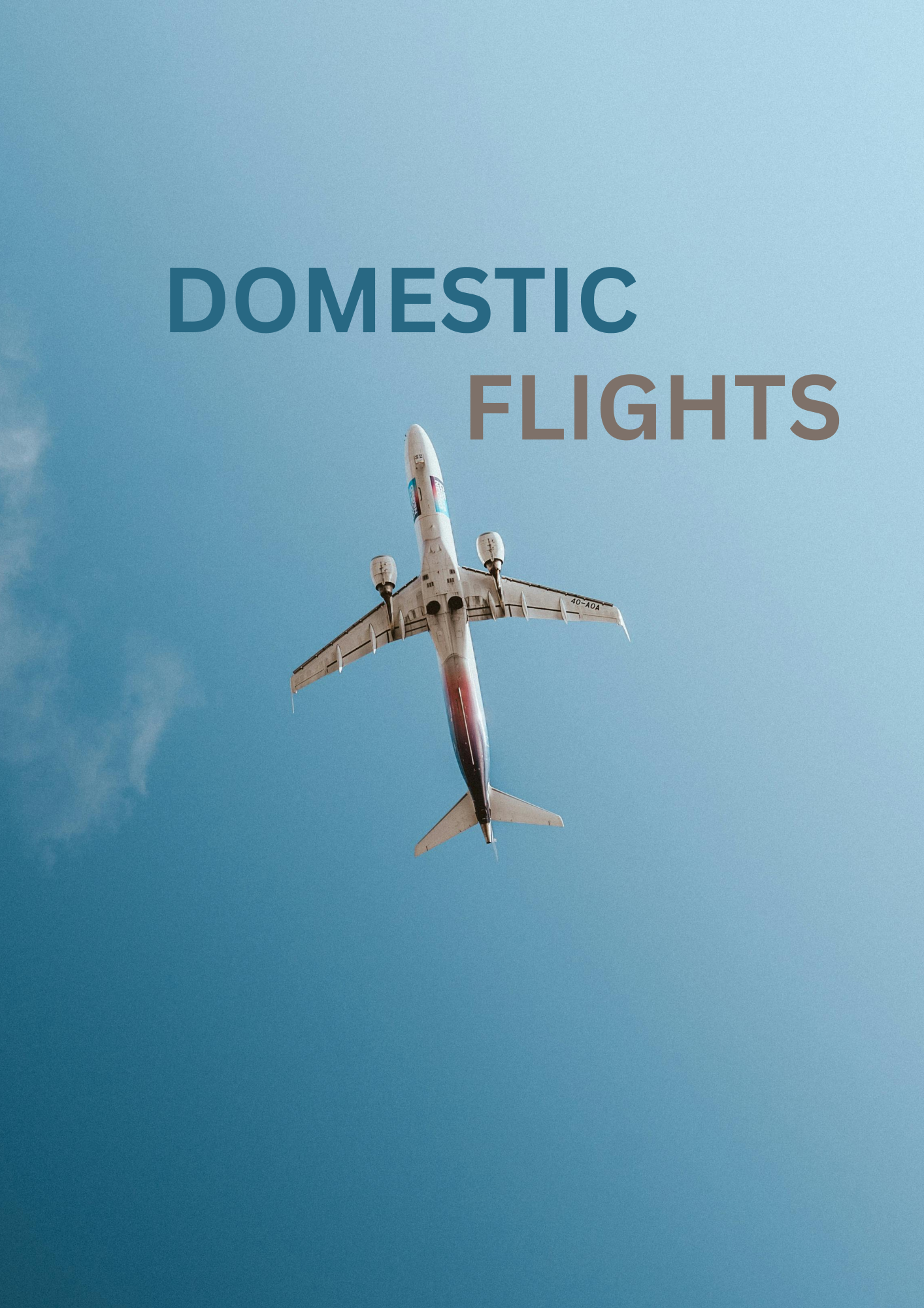 DOMESTIC AIR TICKET